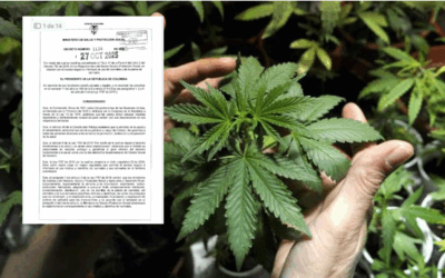 ¡Giro histórico! Colombia dio luz verde al uso médico del cannabis en su forma natural