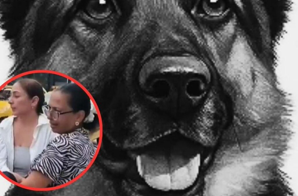 Detenidas madre e hija tras incinerar a su perro en un presunto rito espiritual