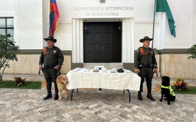 Video: Así fue la incautación de 11 mil gramos de marihuana en pleno centro de Bucaramanga