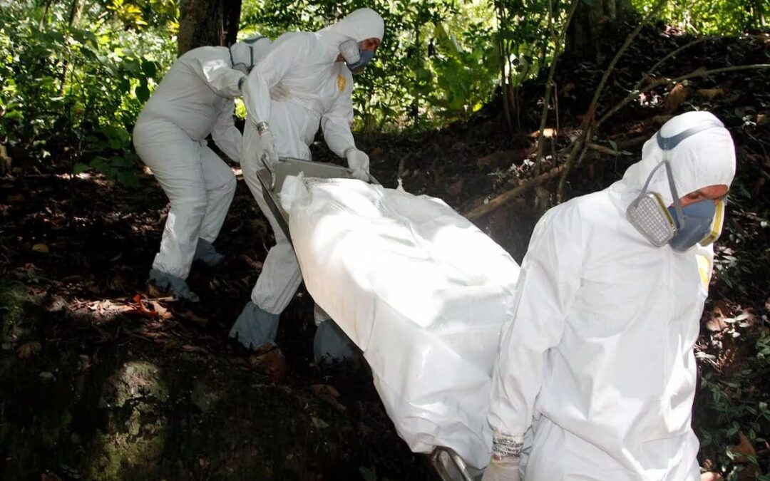 Joven desaparecido fue encontrado muerto en zona boscosa de Floridablanca