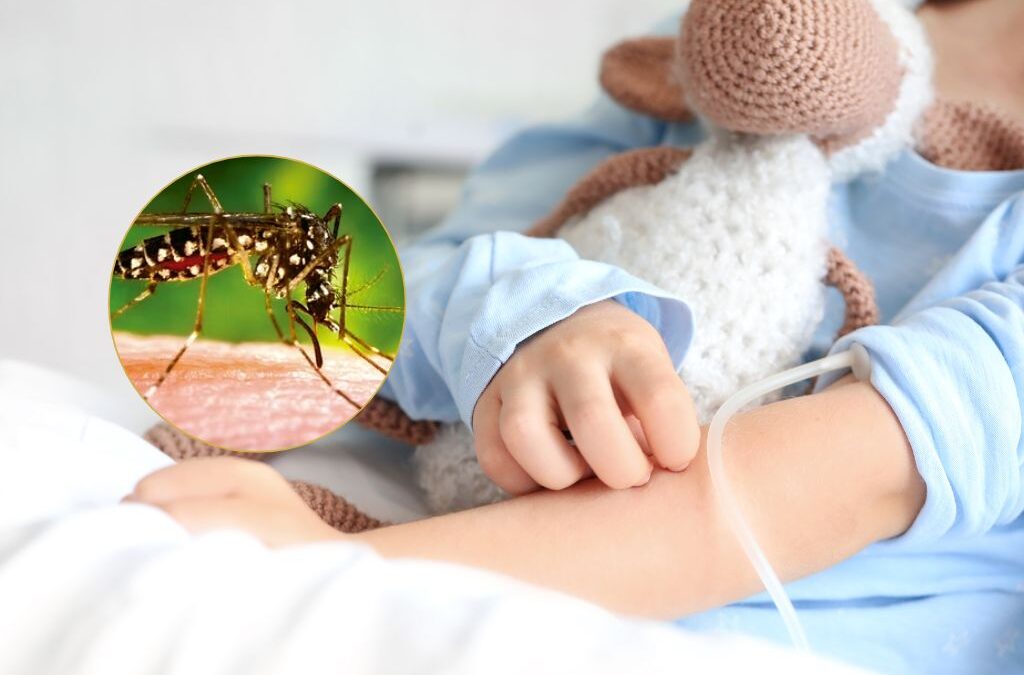 Niña de 9 años falleció tras complicaciones por dengue en Floridablanca