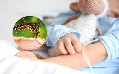 Niña de 9 años falleció tras complicaciones por dengue en Floridablanca