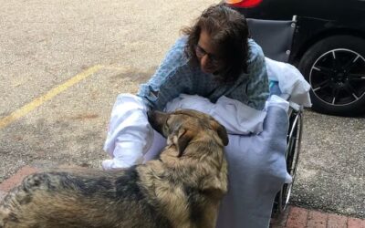 Mujer perdió brazos y piernas tras infección causada por saliva de su perro