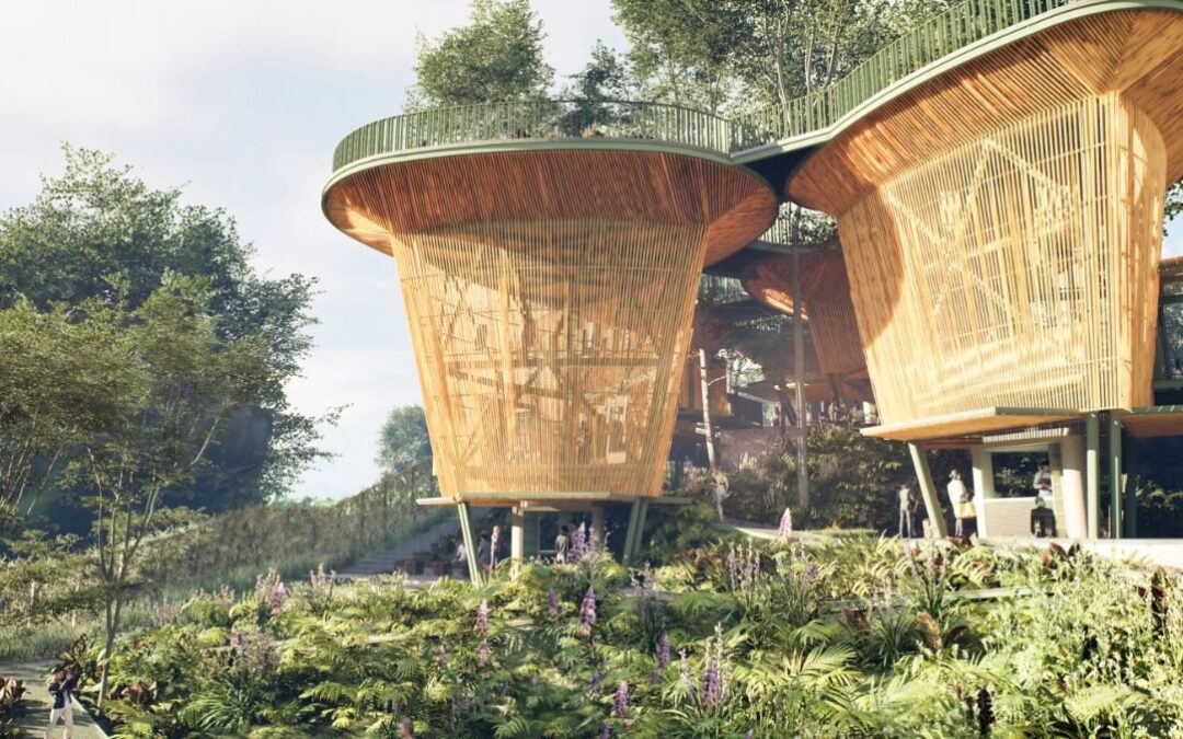 Valle del Cauca invertirá más de $26.000 millones en proyectos de turismo sostenible