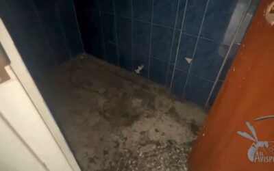 Líderes comunales claman ayuda urgente: sede fue devastada por delincuentes