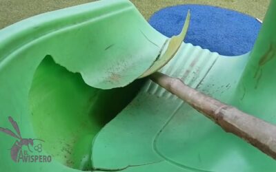 Espacio para jugar… ¿o para lesionarse? Preocupación en parque de Floridablanca