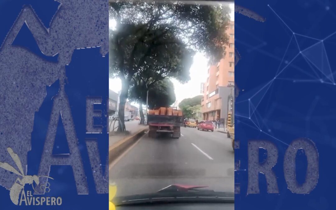 Una tragedia anunciada: carga sin protección recorrió la carrera 27