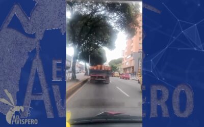 Una tragedia anunciada: carga sin protección recorrió la carrera 27