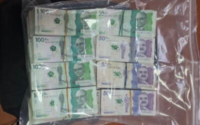 Intentó sobornar a la Policía y terminó capturado con $255 millones