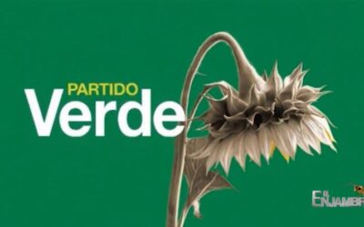 Crisis en la Alianza Verde: bajas votaciones golpean al partido