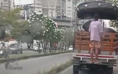 ¿Hasta cuándo? Indignación por maniobra irresponsable en autopista Floridablanca–Bucaramanga