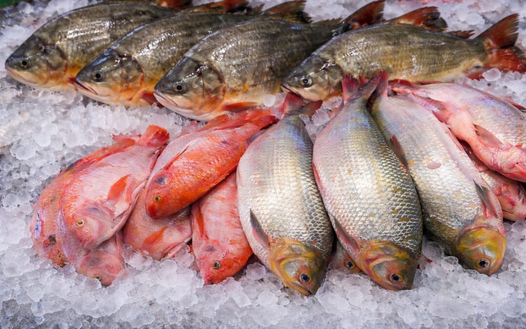 Arranca el “Madrugón Pesquero” en Centroabastos para la temporada de Semana Santa