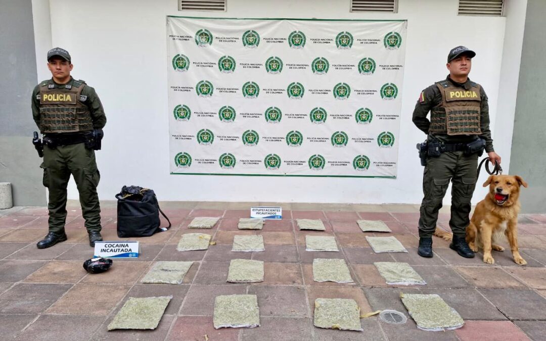 “Yordi”, el héroe de cuatro patas que destapó cargamento de estupefacientes en San Gil