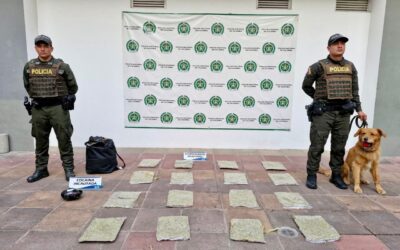 “Yordi”, el héroe de cuatro patas que destapó cargamento de estupefacientes en San Gil