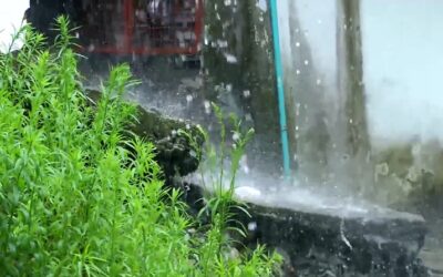 Colapso vial y falta de control: el doble problema tras fuerte aguacero