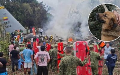 Odi, el ángel de cuatro patas que le cambió el destino a un soldado en Putumayo