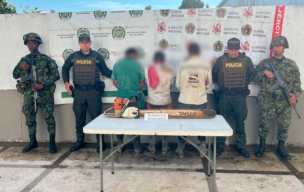 Sorprendidos talando árboles: tres capturados en zona rural de Sabana de Torres