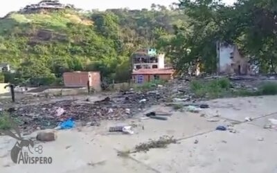 De colegio a botadero: el problema que quedó tras una demolición