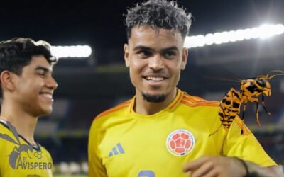Campeones por milagro: el talento colombiano que triunfa sin apoyo