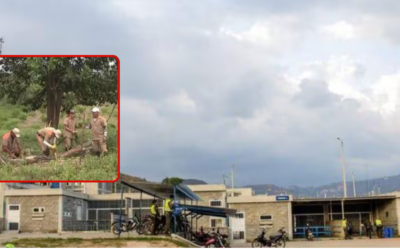 Internos de Palogordo aprenden a producir carne y leche como camino al cambio.