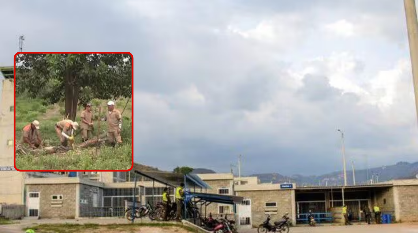 Diseño sin título (6)