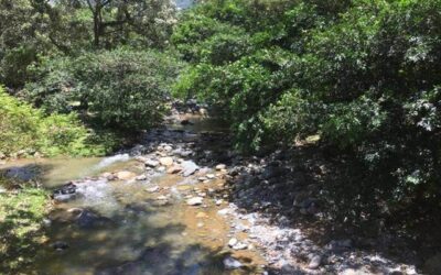 Macabro hallazgo en Santander: menor fue encontrado sin vida en una quebrada