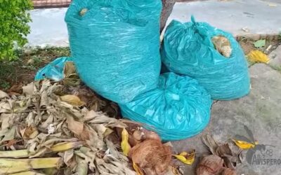 Bahías de parqueo terminan convertidas en botaderos de basura en Piedecuesta