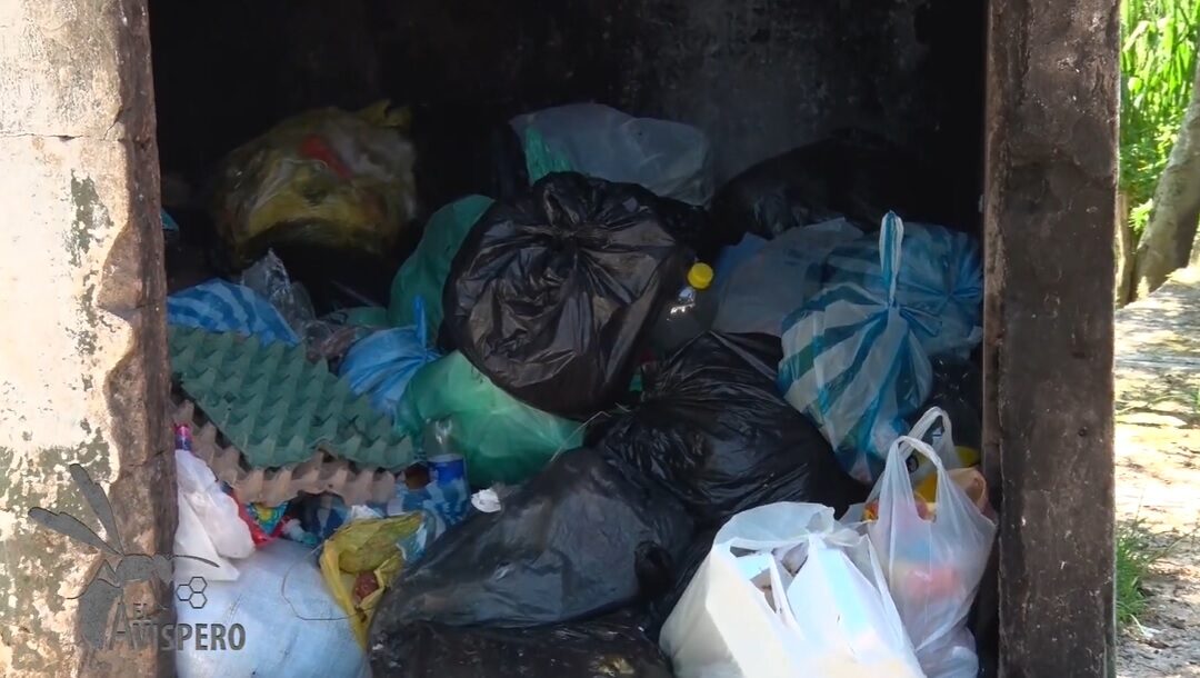 Basuras, ratas y malos olores tienen desesperado al barrio Bucaramanga