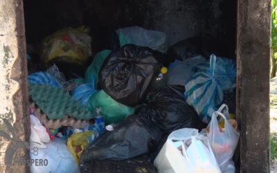 Basuras, ratas y malos olores tienen desesperado al barrio Bucaramanga