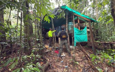 Golpe al Clan del Golfo en Santander: destruyen gigantesco laboratorio de coca en Betulia