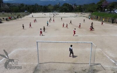 ¿Sabía que solo un santandereano ha jugado un Mundial con Colombia?