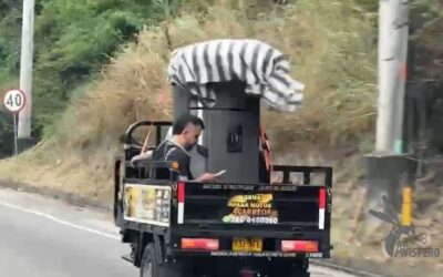 Como si fuera un sofá: hombre iba sobre una grúa mientras revisaba su celular