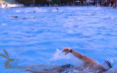 Campeones sin escenario: la piscina olímpica que nunca llegó a Piedecuesta