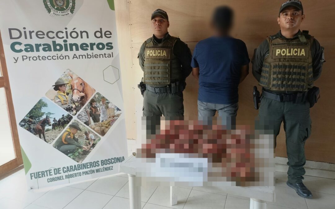 ¿Qué estaba pasando con las 14 hicoteas encontradas dentro de una caja de icopor en Bosconia?