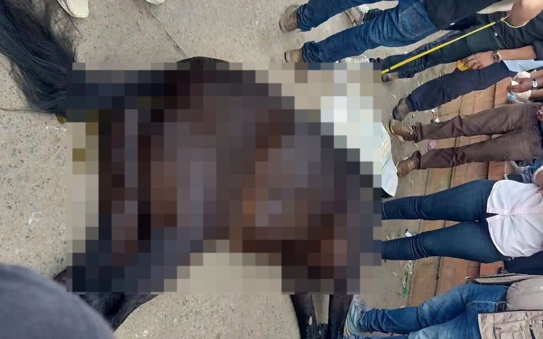 VIDEO. Muerte de un caballo durante cabalgata generó preocupación en Villanueva