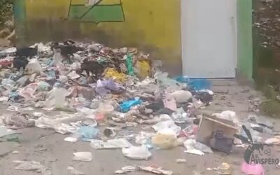 Entre malos olores y chulos: comunidad pide solución en Altos de Betania