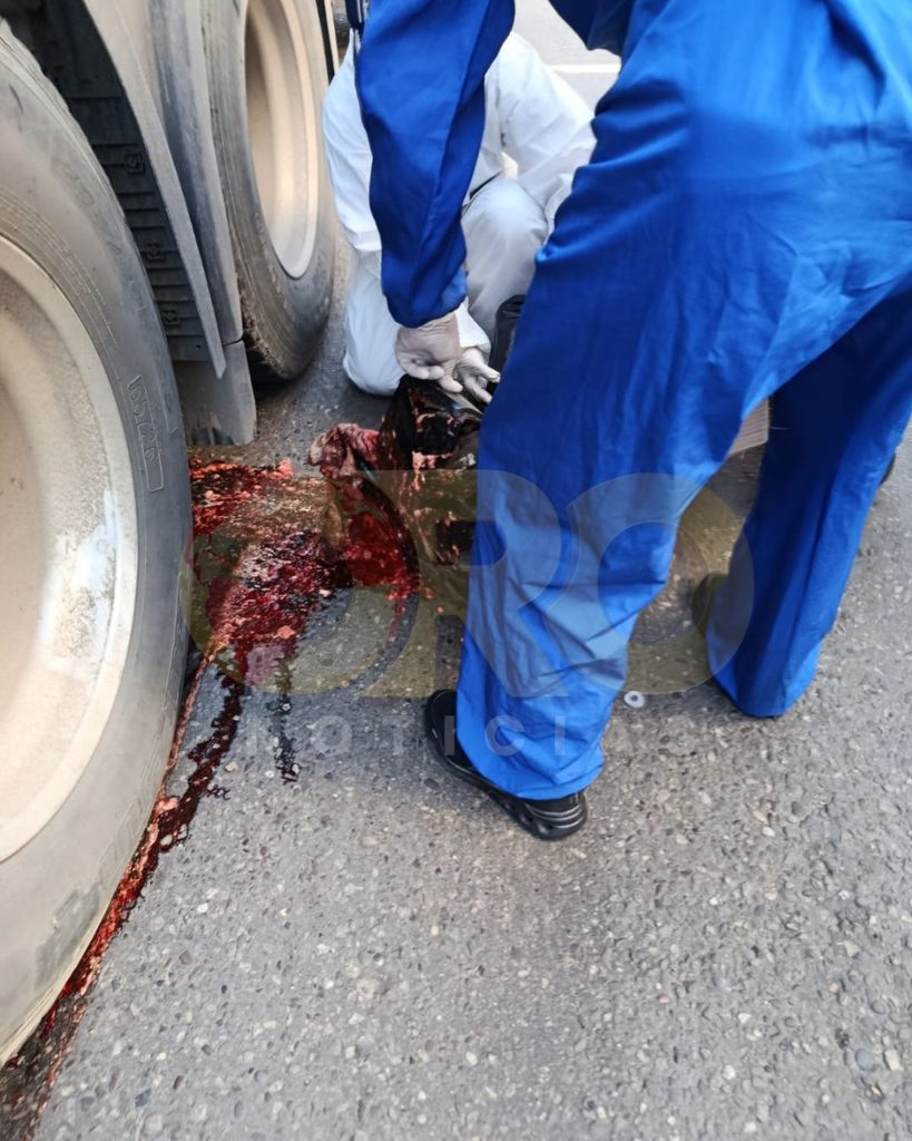 Un impactante accidente cobró la vida de José Agustín Fernández Lancheros, de 49 años y oriundo de Mogotes. El motociclista impactó a un ciclista con la canasta de mercado que llevaba, cayó al asfalto y fue decapitado tras ser arrollado por un tractocamión cerca de la estación Terpel.

El ciclista involucrado sufrió lesiones pero se salvó de milagro. 
Autoridades atendieron la emergencia y adelantaron los actos urgentes en el sitio.