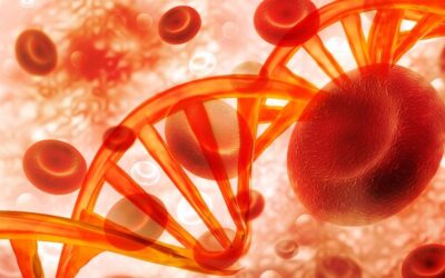 ¿Colesterol alto en niños? Esta enfermedad genética podría estar detrás
