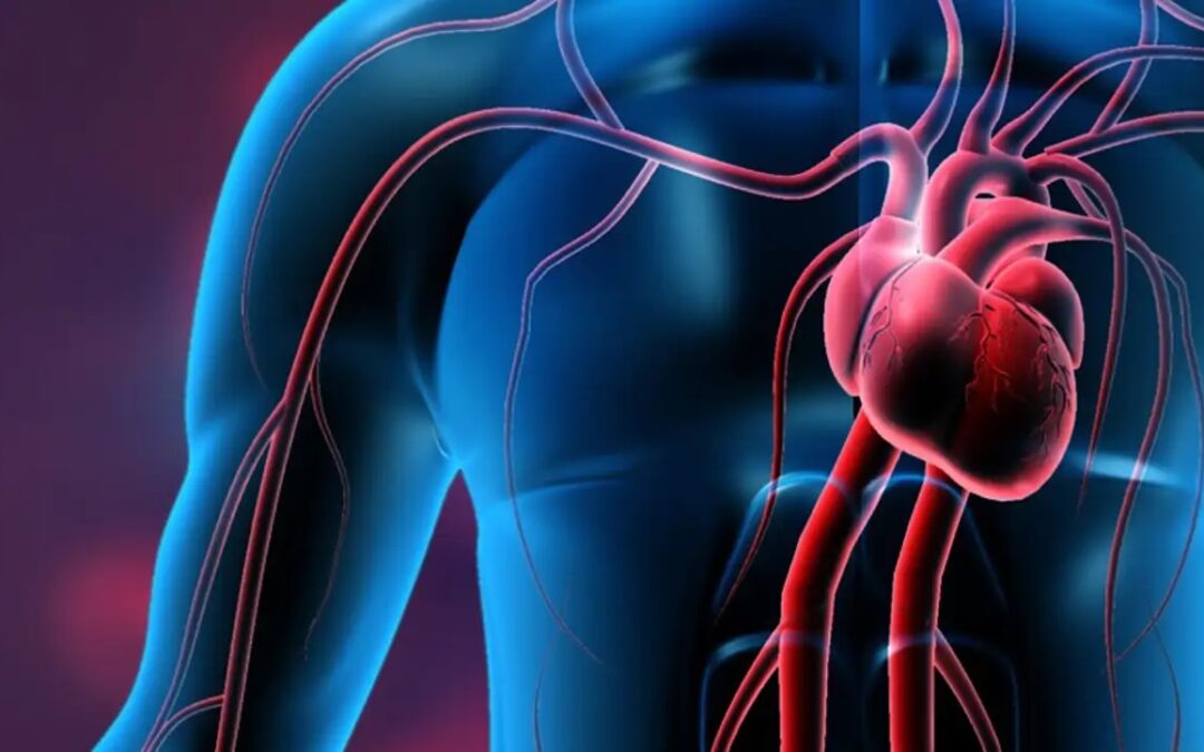 ¿Se puede morir de un corazón roto? El síndrome de Takotsubo y sus riesgos