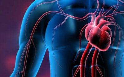 ¿Se puede morir de un corazón roto? El síndrome de Takotsubo y sus riesgos