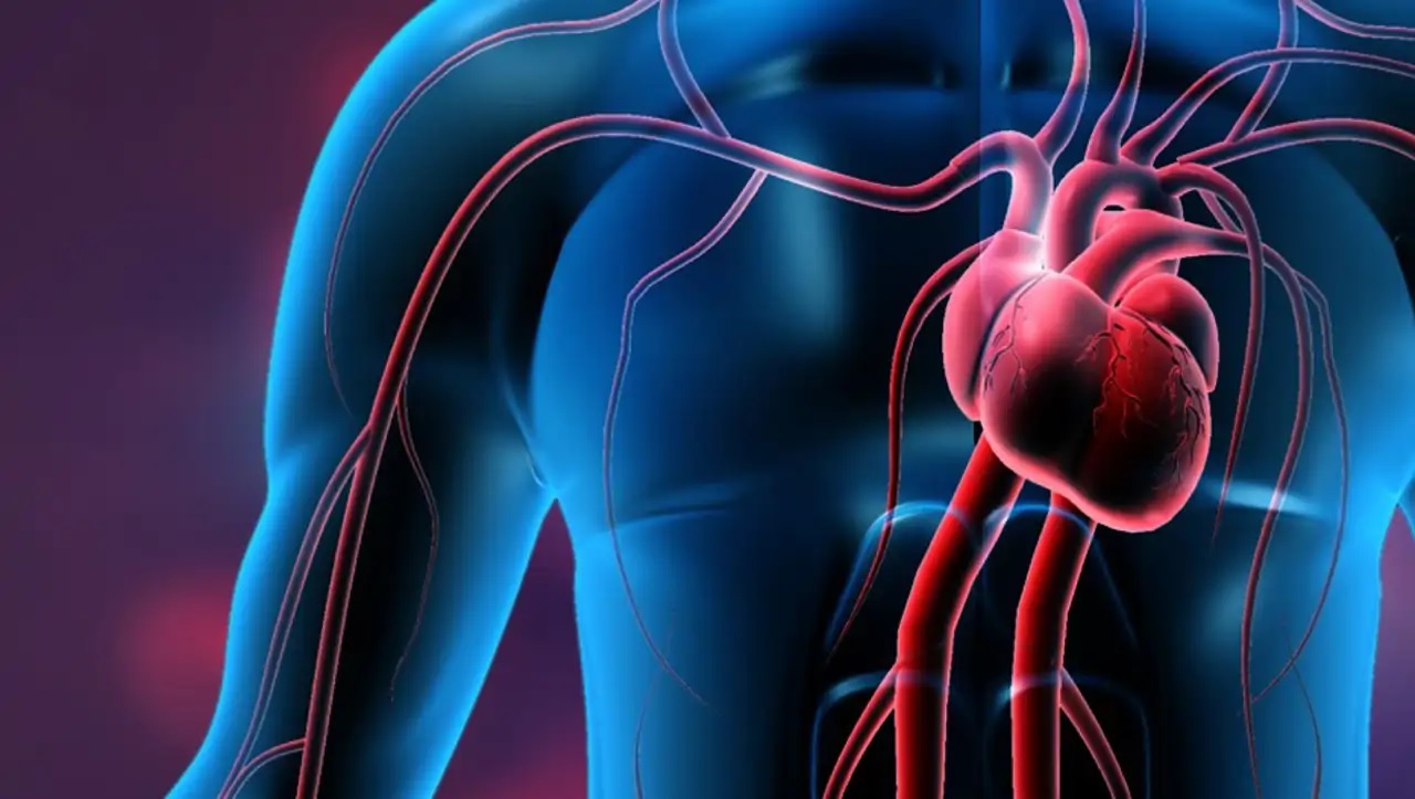 corazón