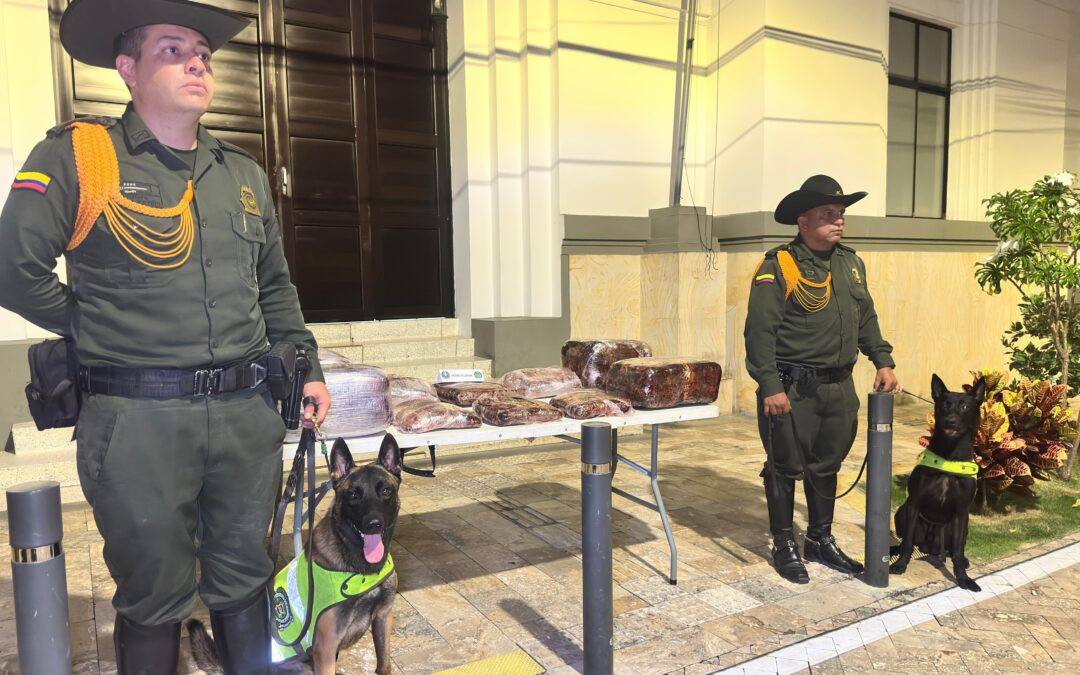 Perros antinarcóticos descubren 60 kilos de marihuana en la vía Girón – Bucaramanga