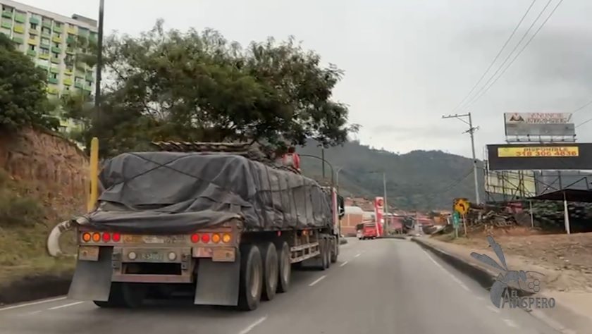 Graban a personas de pie en la parte trasera de un tractocamión.ORO NOTICIAS