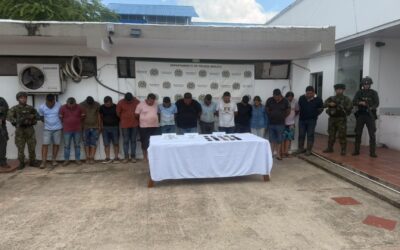 Capturadas 15 personas y recuperan más de 200 reses robadas en Arauca