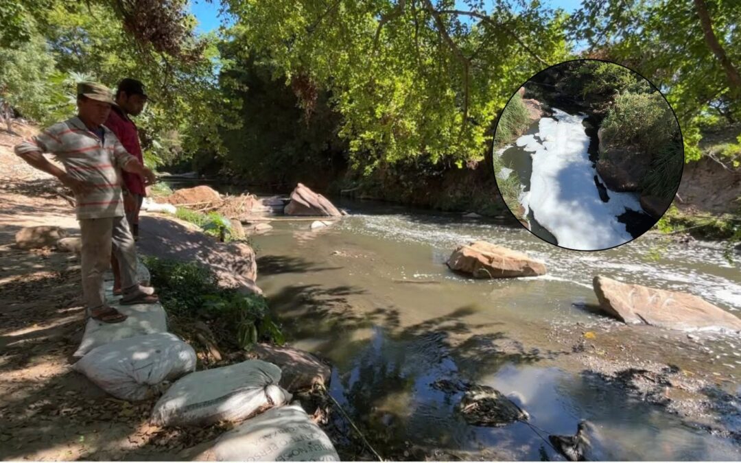 Areneros sin trabajar y cultivos en riesgo por contaminación del río de Oro en Chocoa