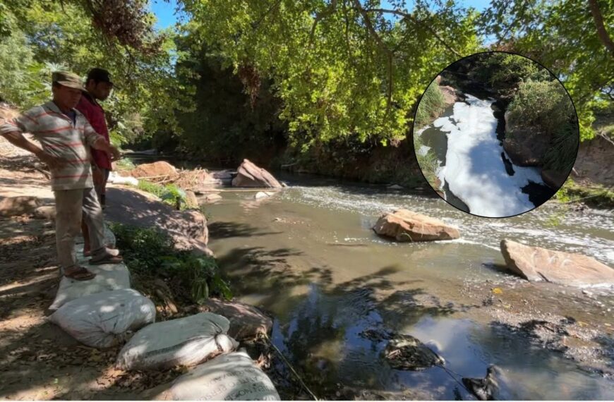 Areneros sin trabajar y cultivos en riesgo por contaminación del río de Oro en Chocoa