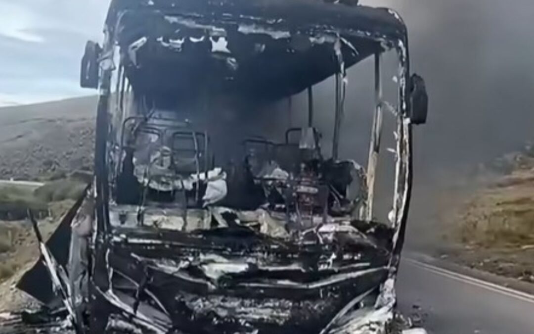 Detalles | Presuntos miembros del ELN incineran un bus en la vía Málaga – Cerrito