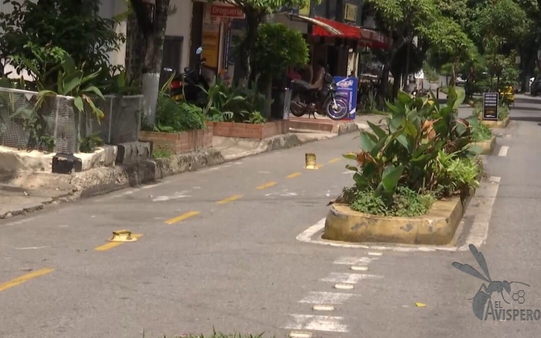 ¿De ciclorruta a parqueadero? El fiasco de la Carrera 21 en Bucaramanga