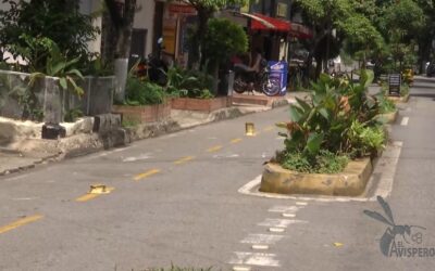 ¿De ciclorruta a parqueadero? El fiasco de la Carrera 21 en Bucaramanga